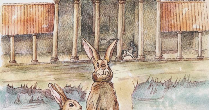 Roman-era rabbit bone reveals creatures arrived in Britain 1,000 years earlier than thought