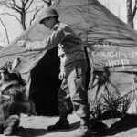 Heroic dog is honored 75 years after saving the lives of U.S. soldiers