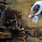 Archaeology breakthrough: 2,000-year-old Roman discovery offers major new insight into era