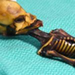 A mummified specimen from Chile's Atacama region prompted speculation for a decade about the find's peculiar skull.