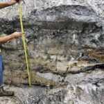 Remains of 2,000-Year-Old Prehistoric Woman Found in Davie, Broward County, Florida