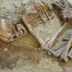 15,000 year old ear infections discovered in burials from the Levant