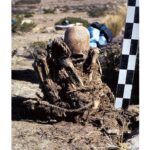 Bolivia researchers find two skeletons with abnormally elongated skull