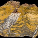 Oldest Evidence of Life on Land Found in 3.48 Billion-Year-Old Australian Rocks