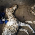 An archaeologist inspects the remains of a horse skeleton in the Pompeii archaeological site. The animal was found with its harness attached