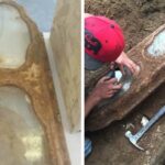 Century-Old Little Girl Found In Coffin Under San Francisco Home Identified