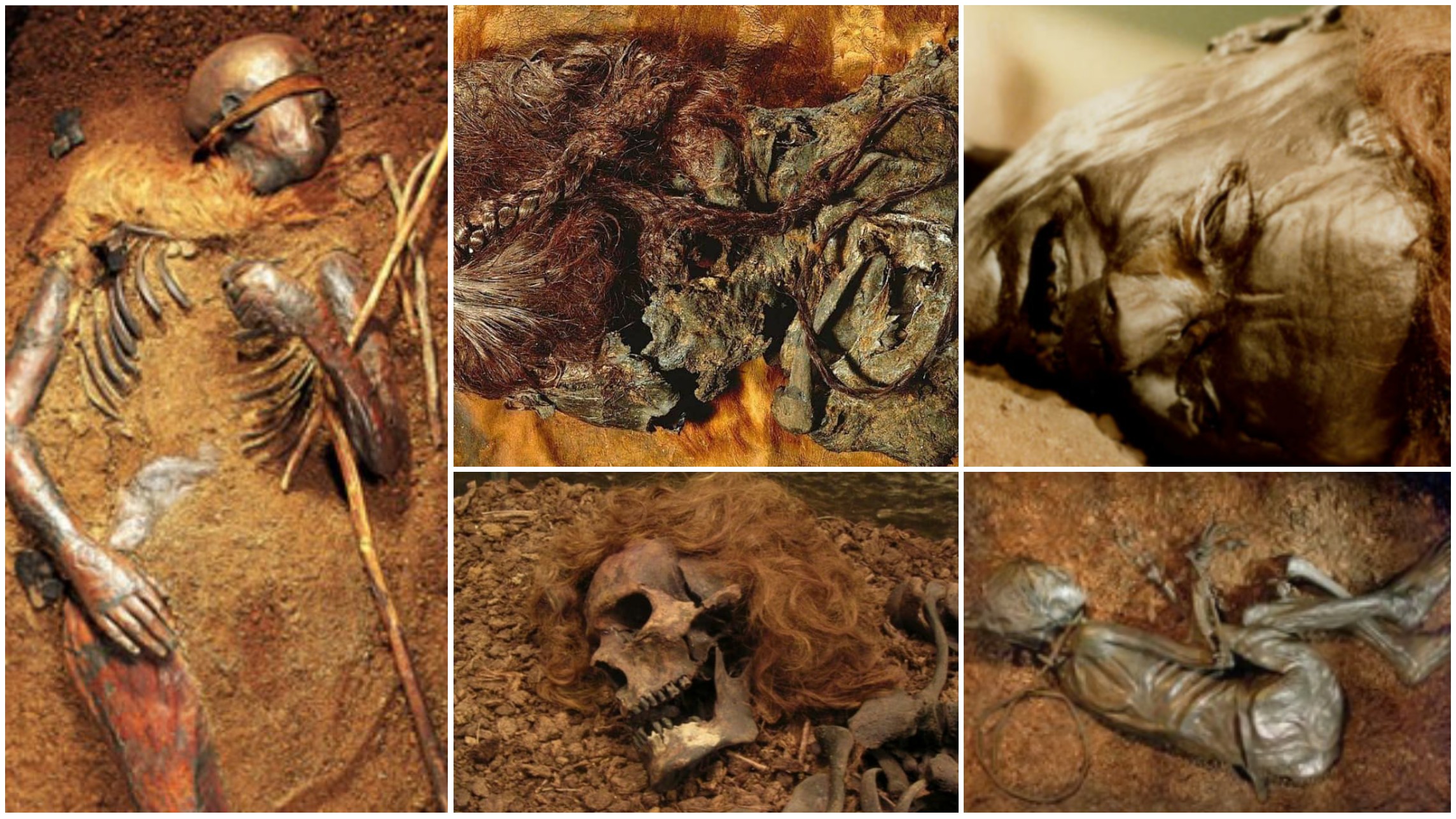 Europe’s Famed Bog Bodies Are Starting to Reveal Their Secrets