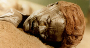 The face of the bog body known as Grauballe man.