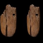 41,500-Year-Old Artifact is World’s Oldest Ornate Jewelry