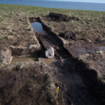 The possible bog iron roasting hearth can be seen beside the structure made of turf at Point Rosee.