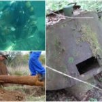 Eastern Front Battlefield Relics – The Amount Left Behind is Incredible