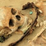 Possible African-American Burials Unearthed in Washington, D.C.