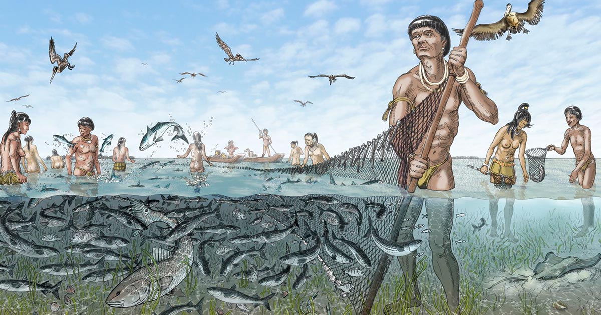 Native Americans in Ancient Florida Developed Pre-electricity Fish Storage
