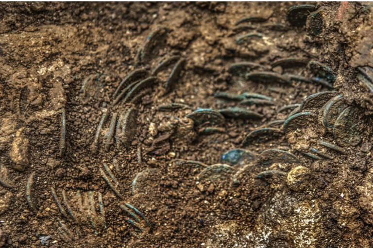 Farmer discovers huge hoard of more than 4,000 ancient Roman coins in Switzerland