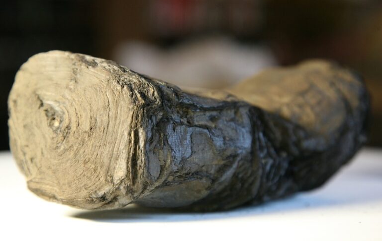 Unlocking 2,000-year-old Herculaneum scrolls were buried when Mount Vesuvius erupted