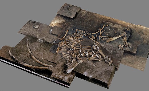 Archaeologists Find 300,000-Year-Old Elephant Skeleton in Germany
