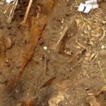 Ancient ships of death: Were they on a mission of politics or plunder?