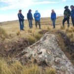 Giant 10-Million-Year-Old Fossil Tree in Peru Reveals Surprises About Ancient Past