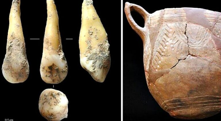 4,700-Year-old Tooth provides insight on Iberian Peninsula First Farmers