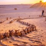 Not Far From the Ancient Egyptian Pyramids Is a Valley of Whales Millions of Years Old