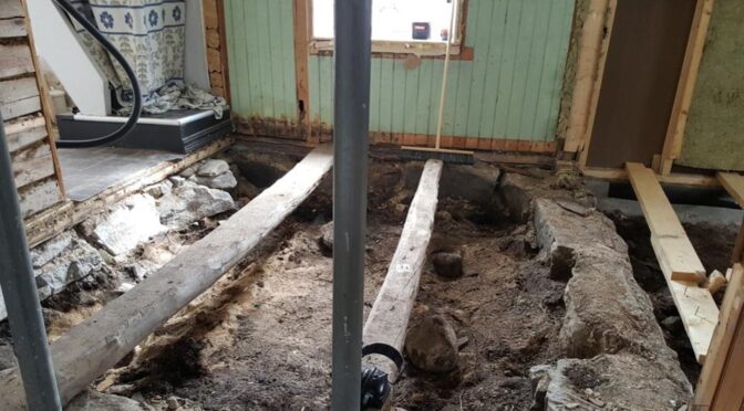 Norway couple find Viking grave under floor of their house